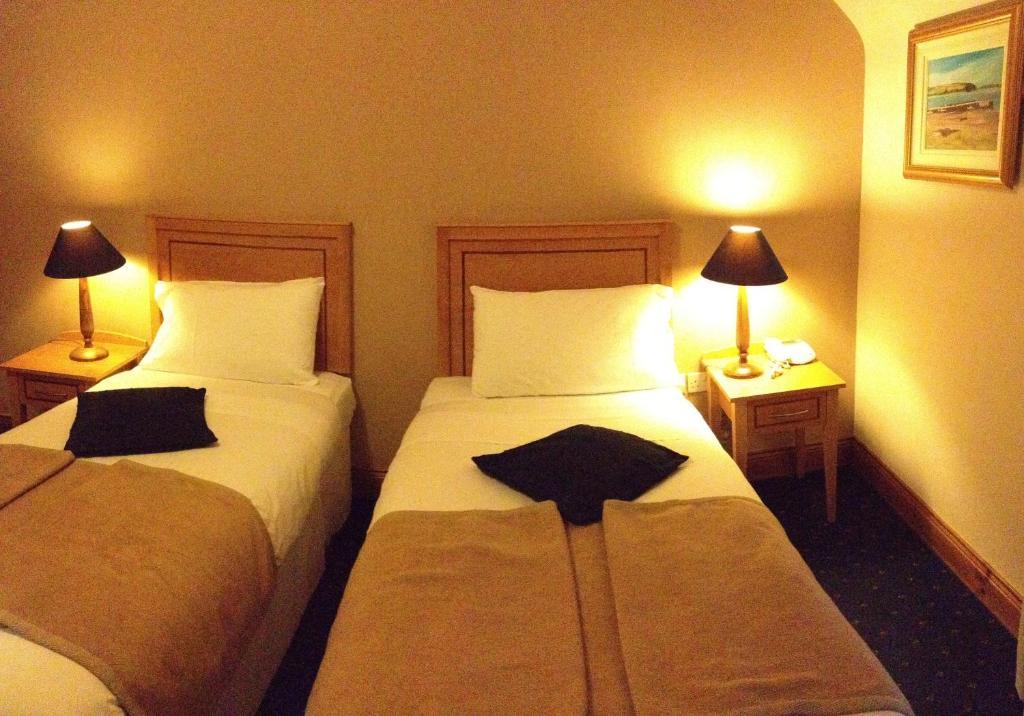 Virginia'S Guesthouse Kenmare Chambre photo