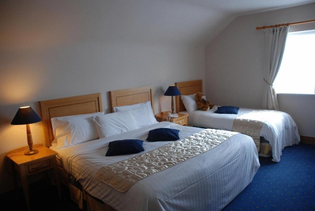 Virginia'S Guesthouse Kenmare Extérieur photo